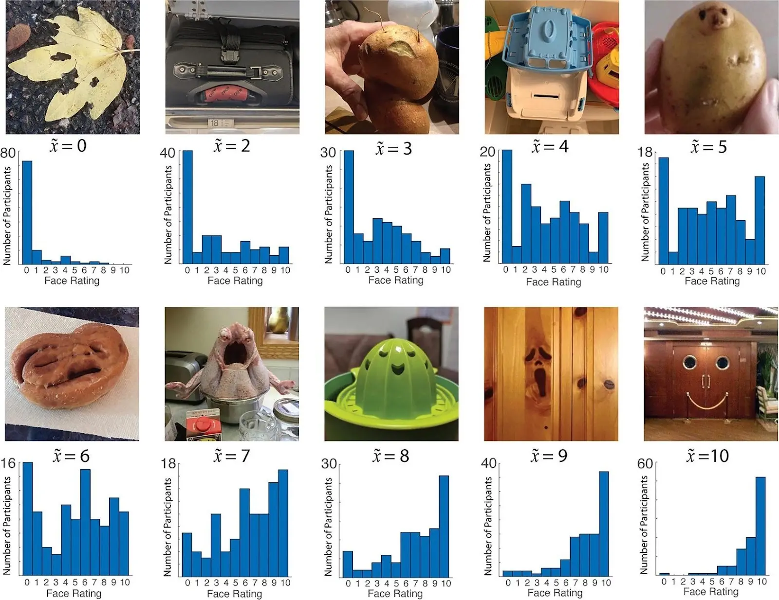 Examples of pareidolia showing faces in objects, explaining rational causes behind shadow figures in haunted house experiences.